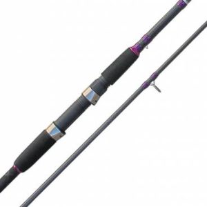 canas-cinnetic-explorer-sea-bass (1)