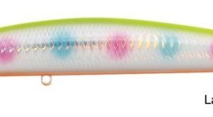 spminnow parrotlaserchartrainbow