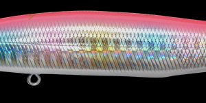 marine_gang120_08_gg_pink_back_rainbow